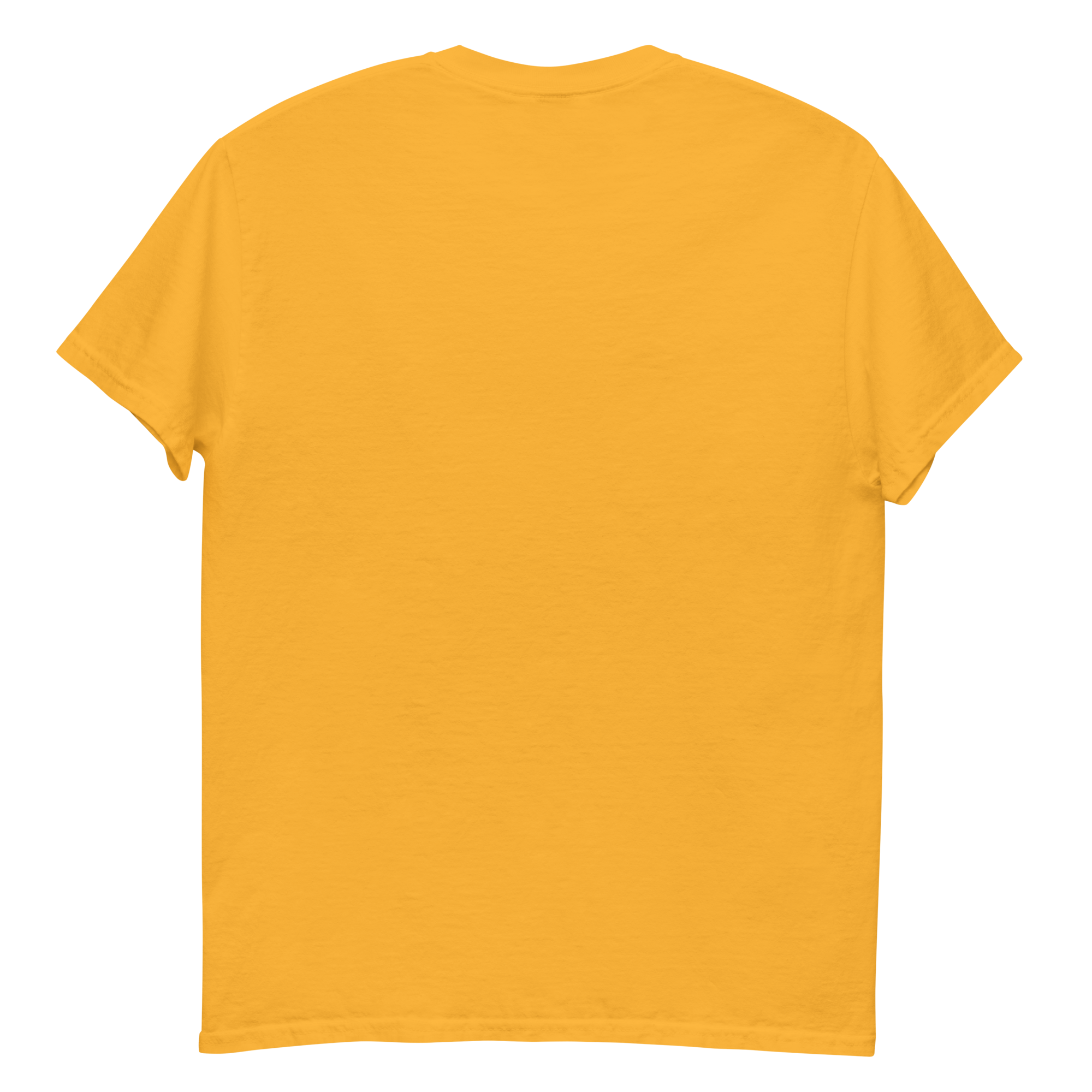 GRAVEL BEGINS unisex t-shirt