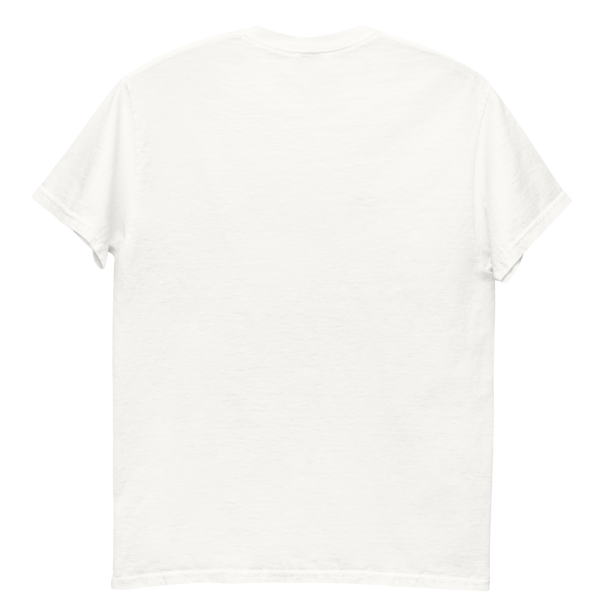 GRAVEL BEGINS unisex t-shirt