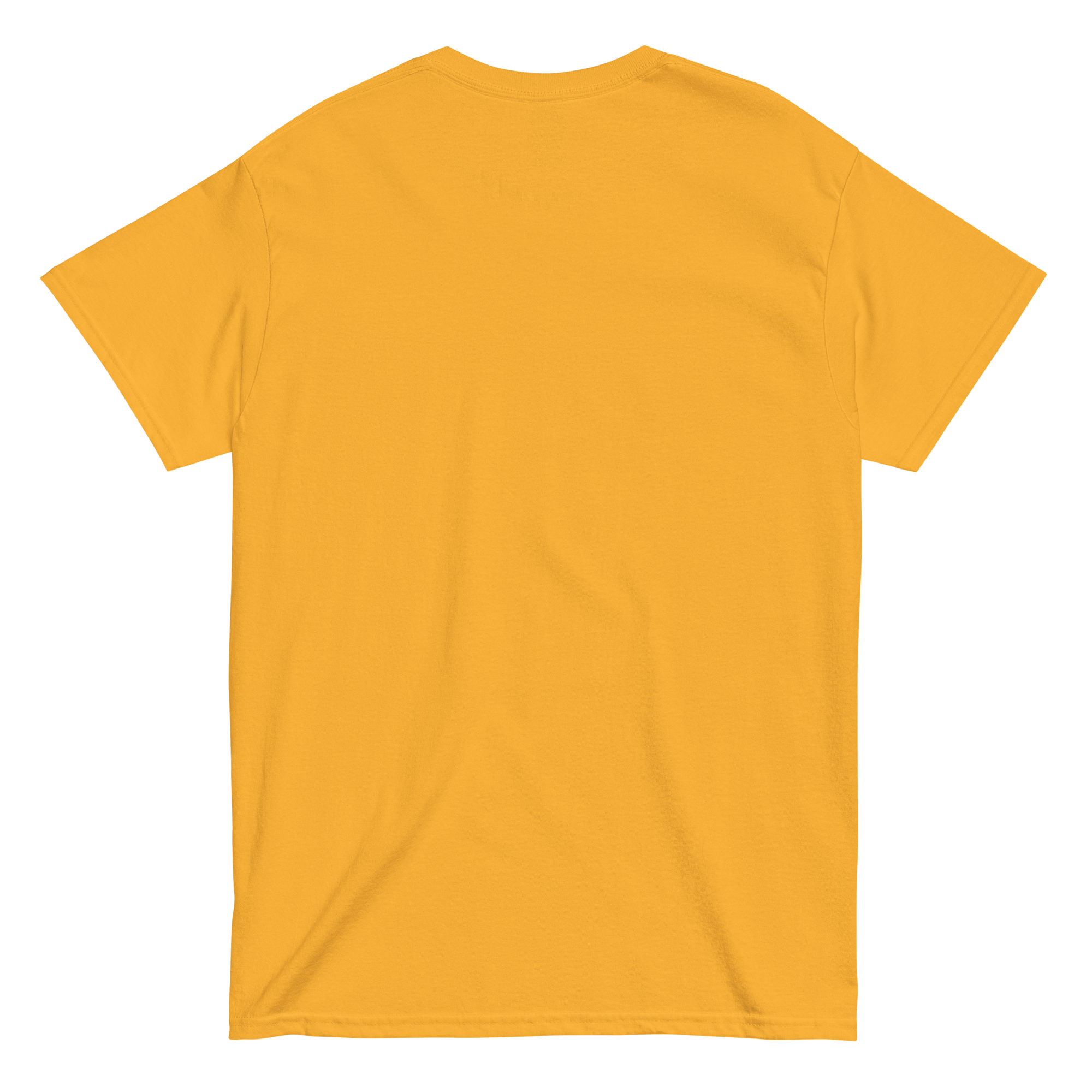 Unisex-T-Shirt „LIKE TO RIDE“