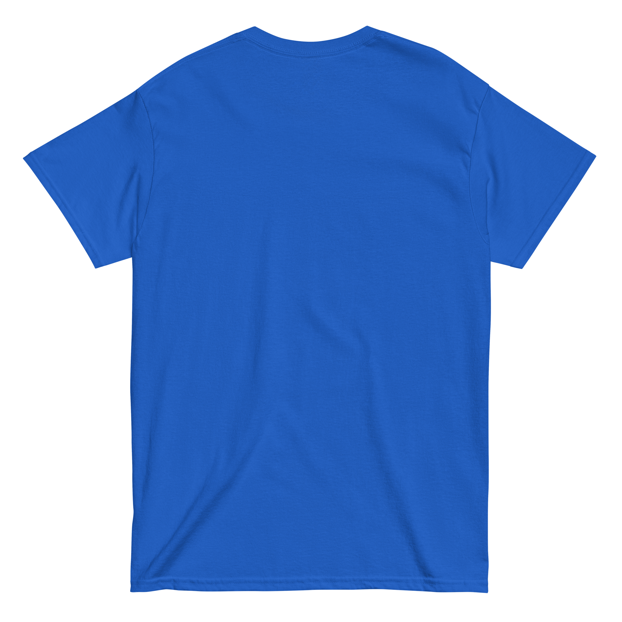 Camiseta unisex VINTAGE SEEKER