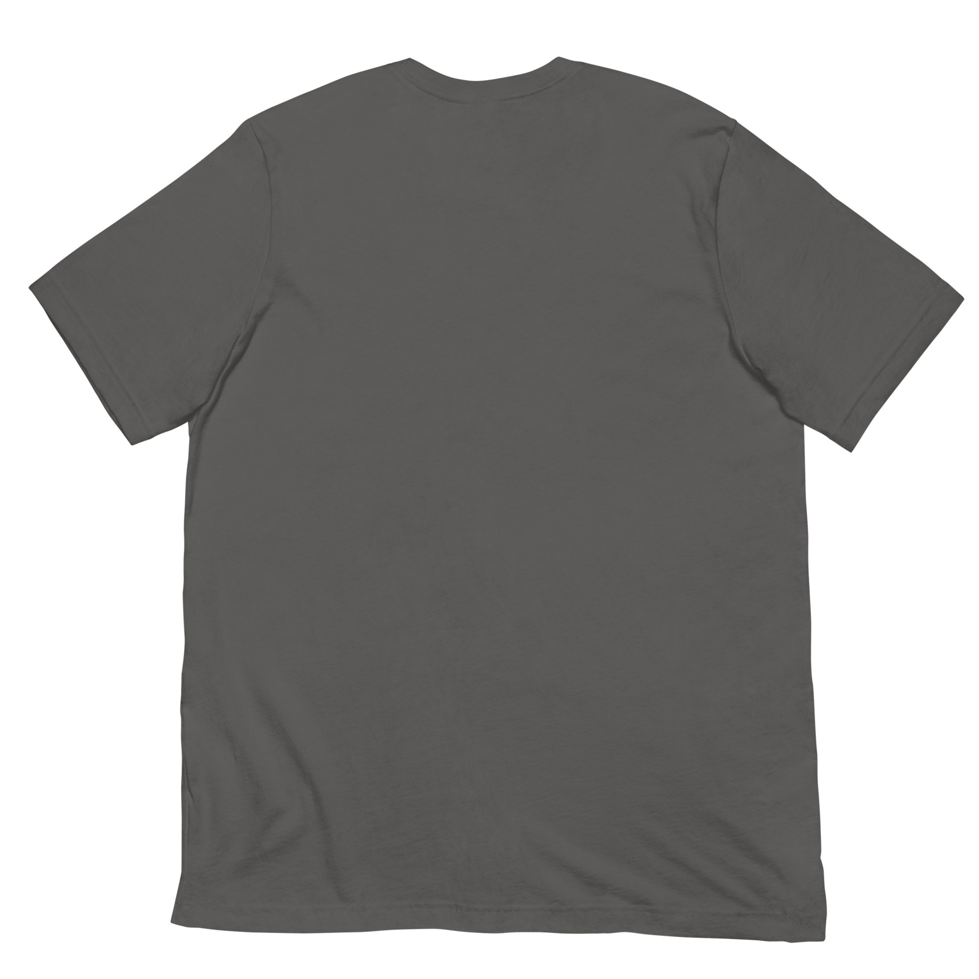 DADS WITH BEARDS men's t-shirt