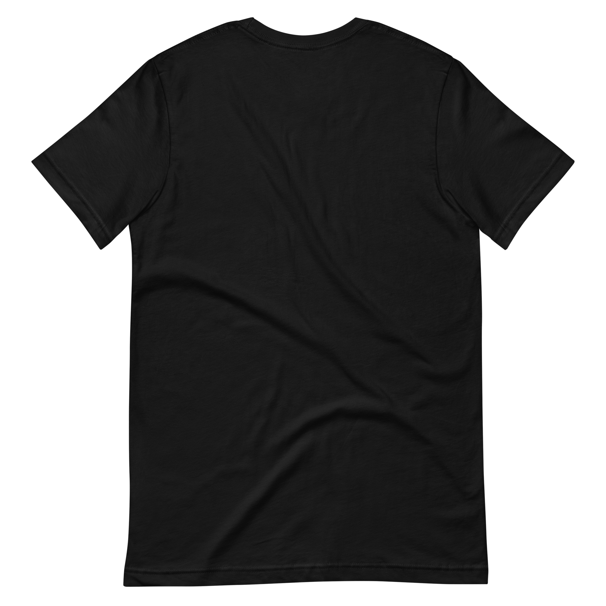 DADS WITH BEARDS men's t-shirt
