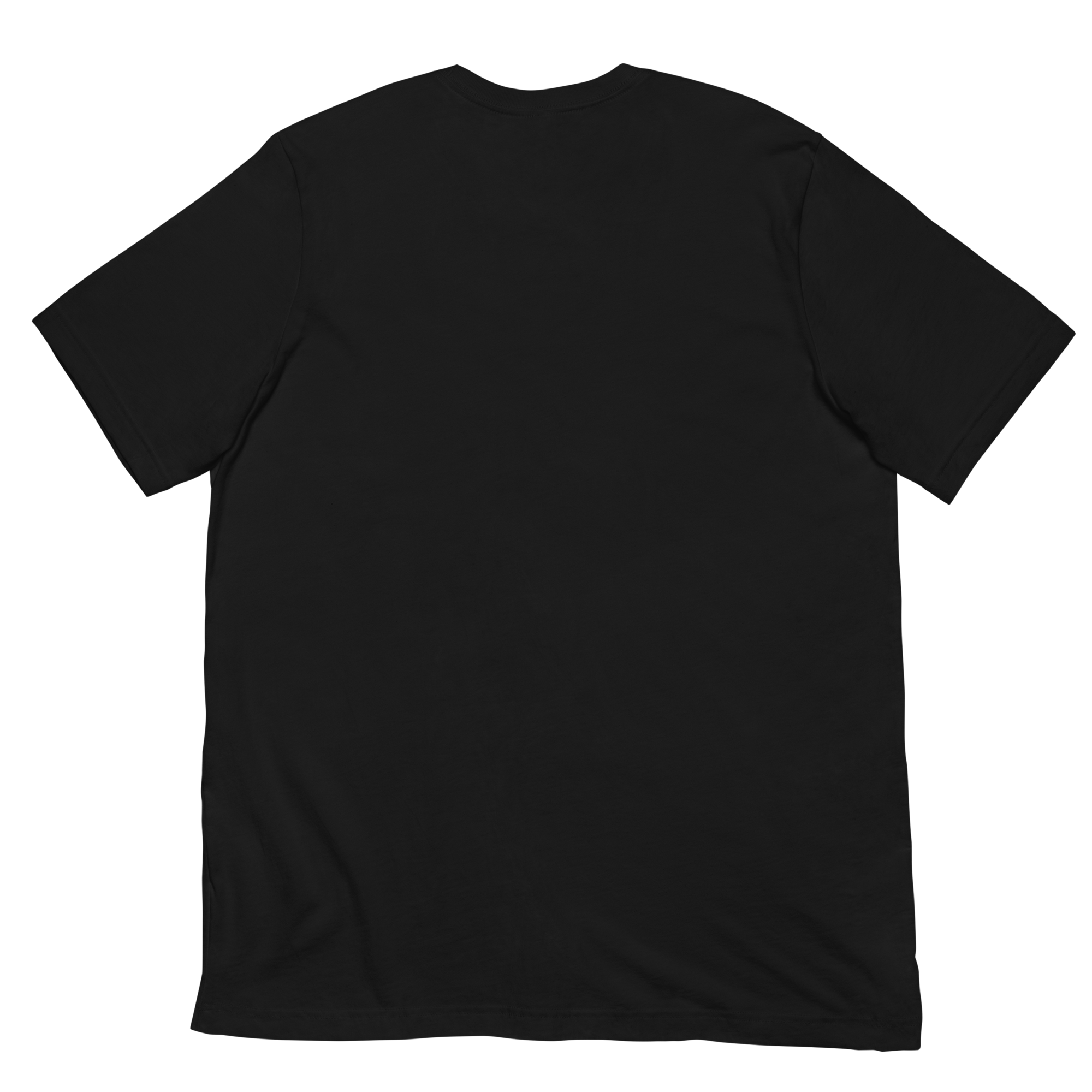 DADS WITH BEARDS men's t-shirt