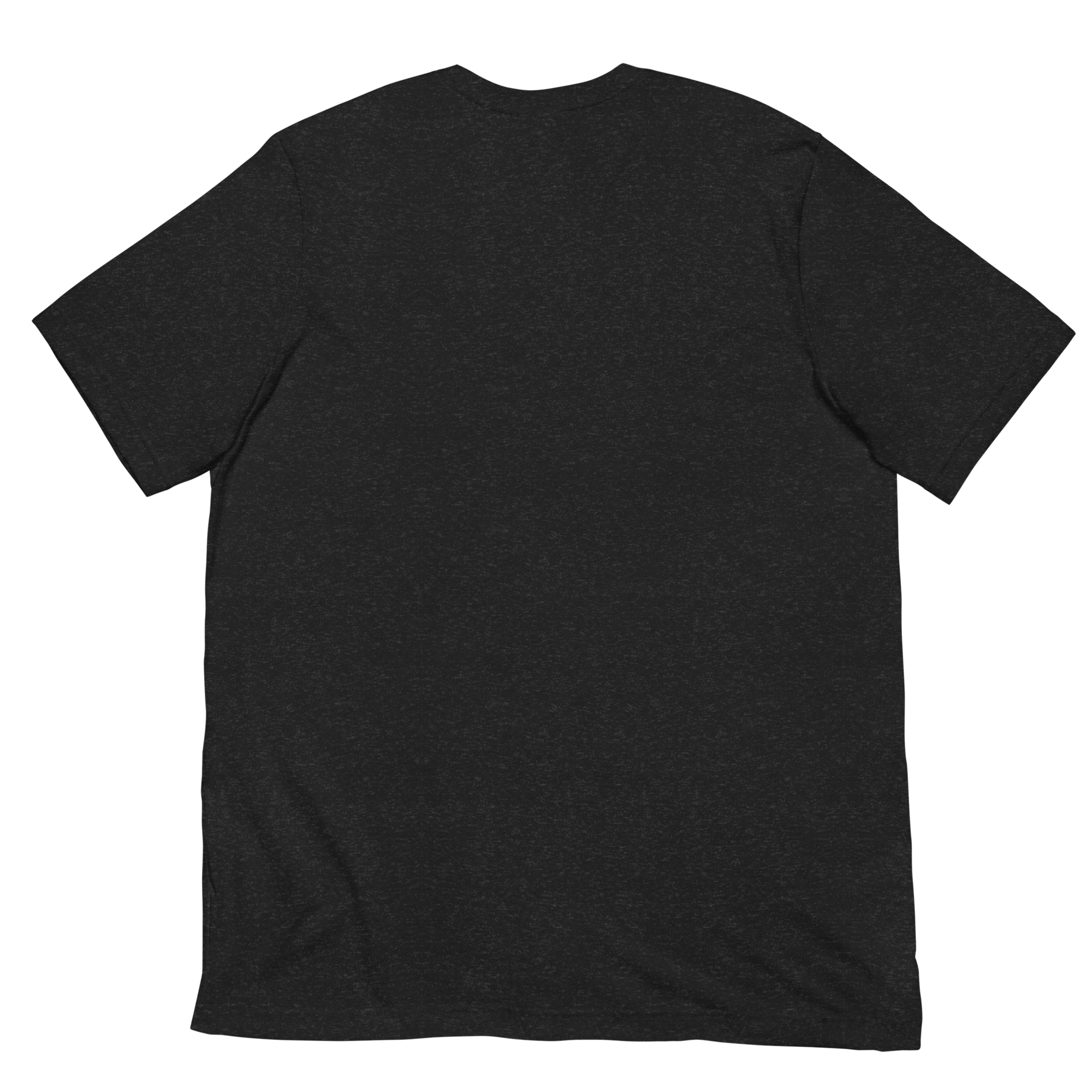 DADS WITH BEARDS men's t-shirt