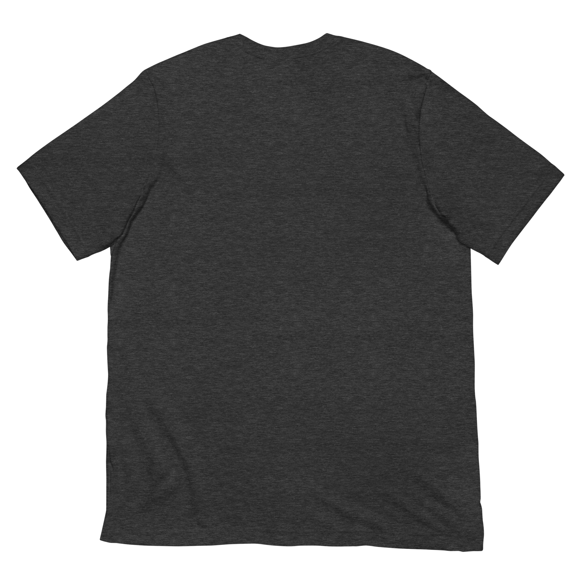 DADS WITH BEARDS men's t-shirt