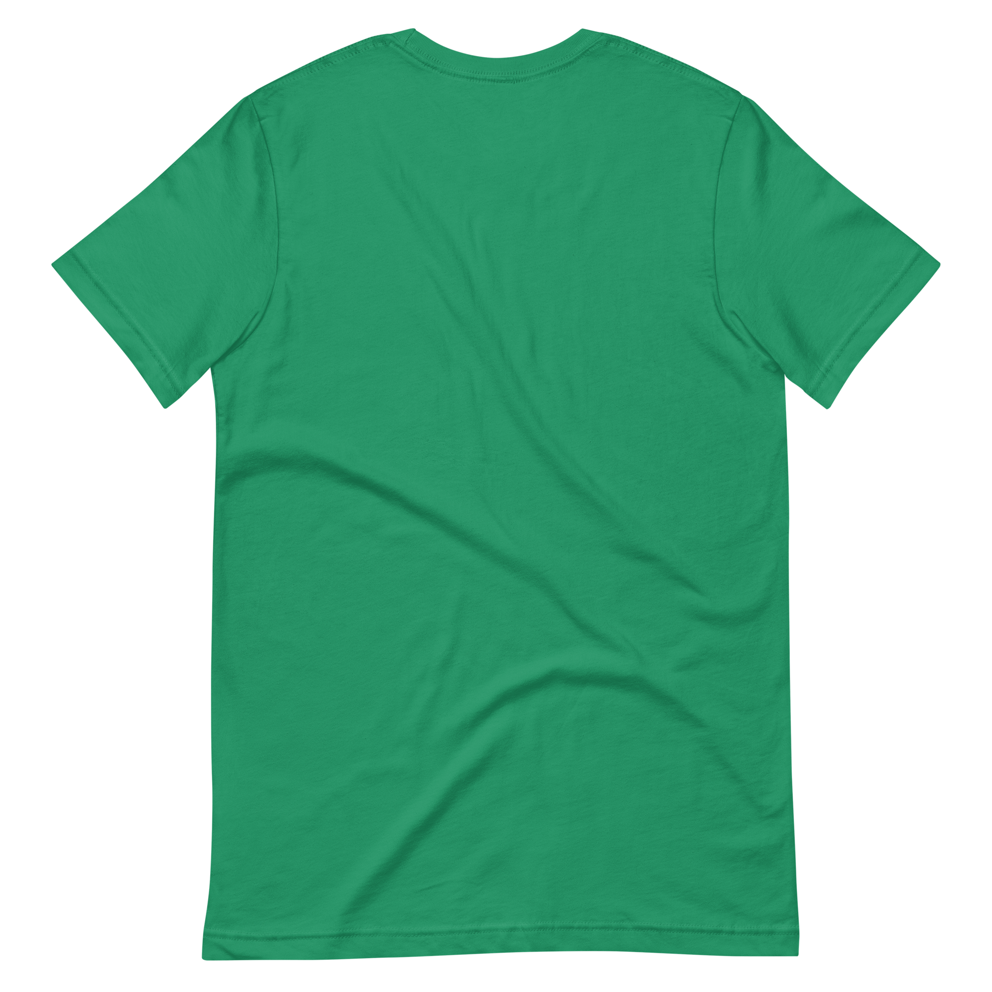 DADS WITH BEARDS men's t-shirt