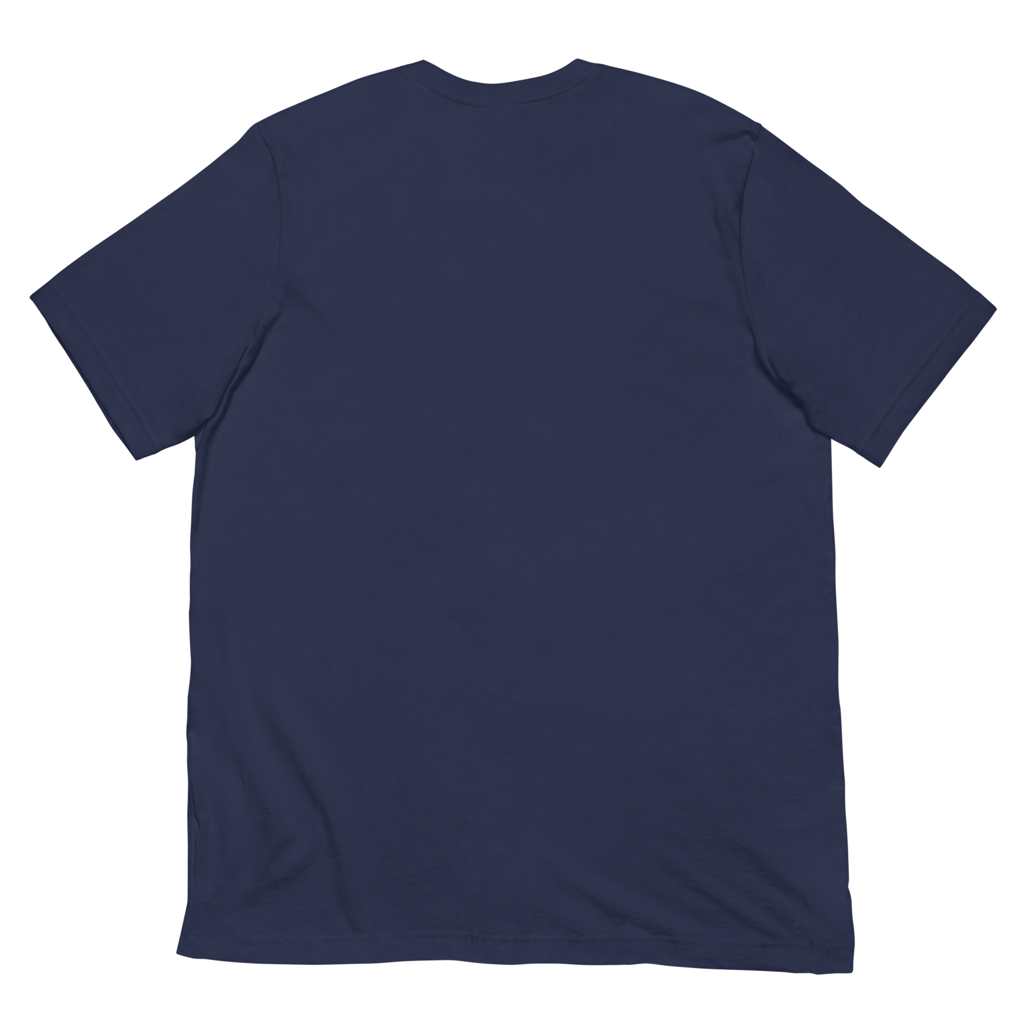 DADS WITH BEARDS men's t-shirt