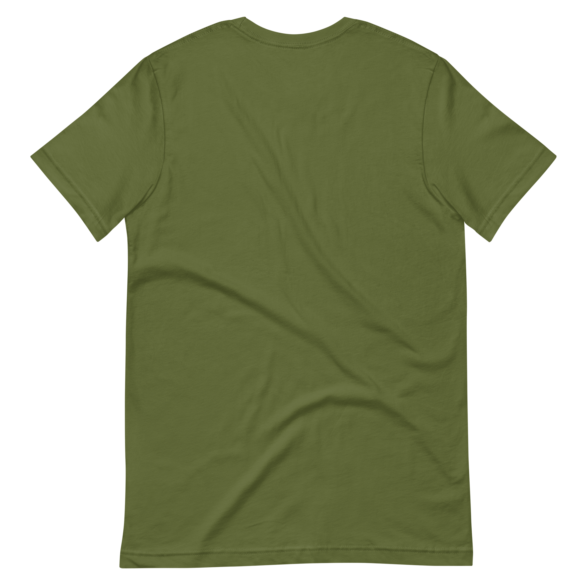 DADS WITH BEARDS men's t-shirt