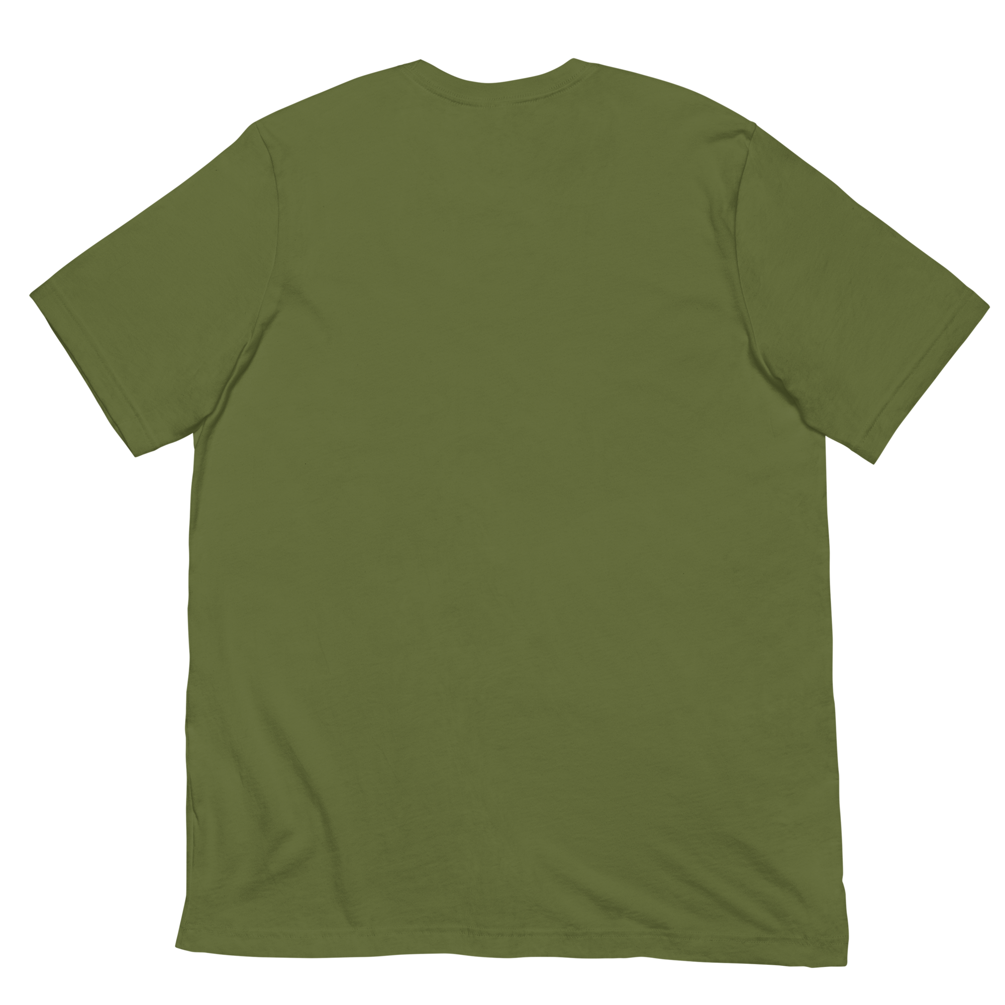 DADS WITH BEARDS men's t-shirt