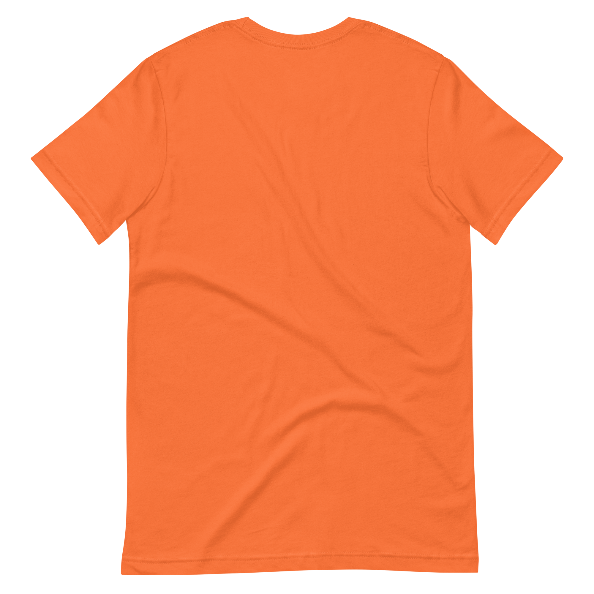 DADS WITH BEARDS men's t-shirt