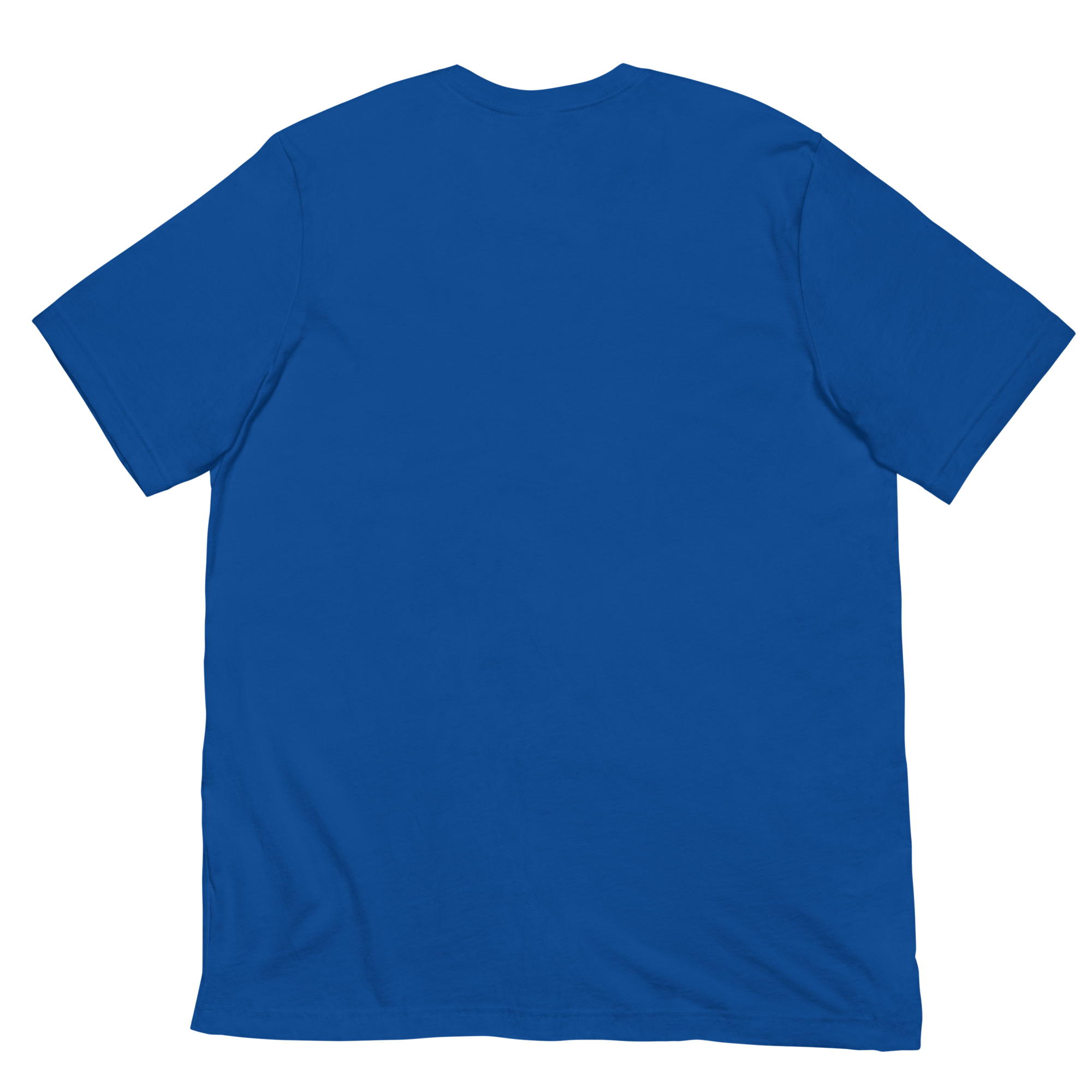 DADS WITH BEARDS men's t-shirt